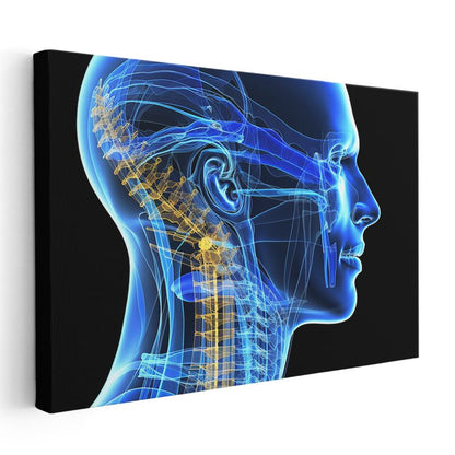 Nöroloji Uzmanı - Sinir Sistemi Anatomisi Kanvas Tablo