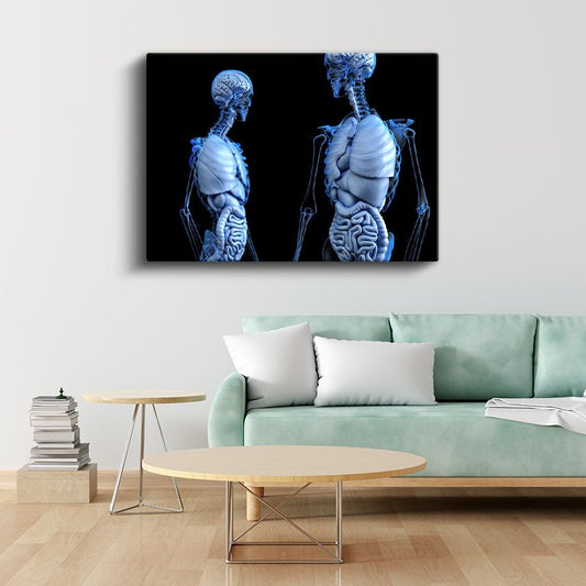 Anatomi Uzmanı - İnsan Vücudu Sistemleri Kanvas Tablo
