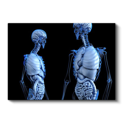 Anatomi Uzmanı - İnsan Vücudu Sistemleri Kanvas Tablo