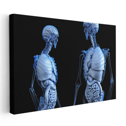 Anatomi Uzmanı - İnsan Vücudu Sistemleri Kanvas Tablo