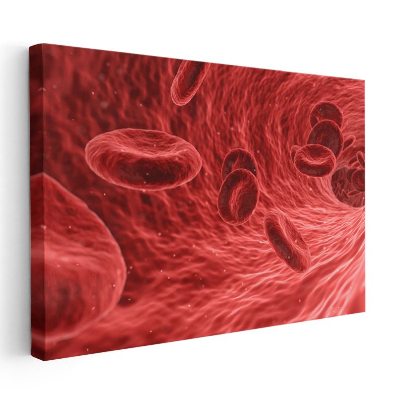 Hematoloji Uzmanı - Kan Hücreleri İncelemesi Kanvas Tablo