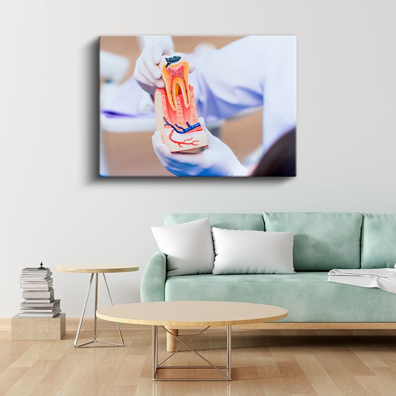 Diş Hekimi - Diş Anatomisi Eğitimi Kanvas Tablo