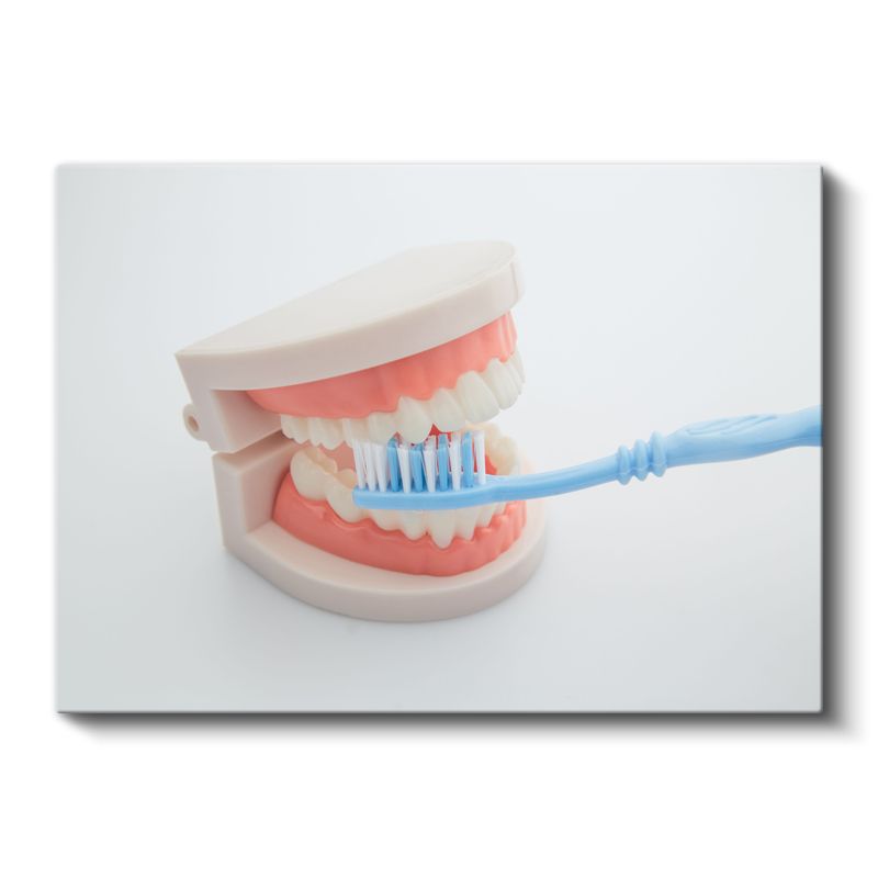 Diş Teknisyeni - Diş Protez Modeli Kanvas Tablo