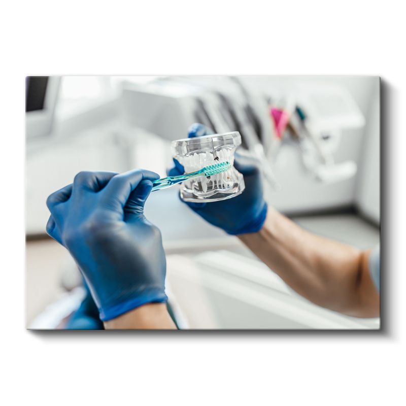 Ağız Sağlığı Uzmanı - Diş Bakım Demonstrasyonu Kanvas Tablo