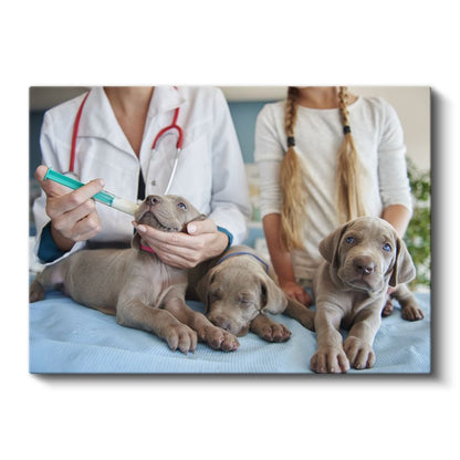Veteriner Hekim - Yavru Dostlarımızın Sağlığı Kanvas Tablo