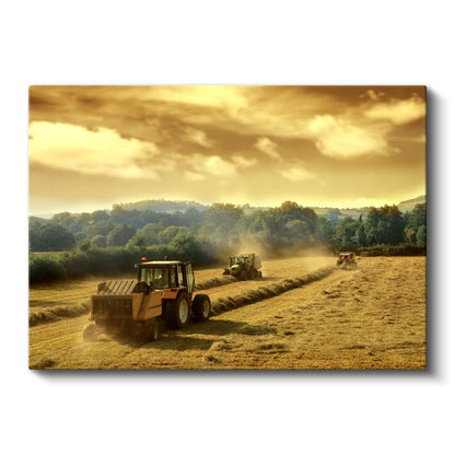 Çiftçi - Tarla Hasadı Kanvas Tablo