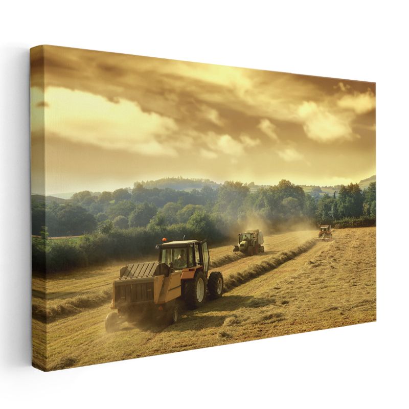 Çiftçi - Tarla Hasadı Kanvas Tablo