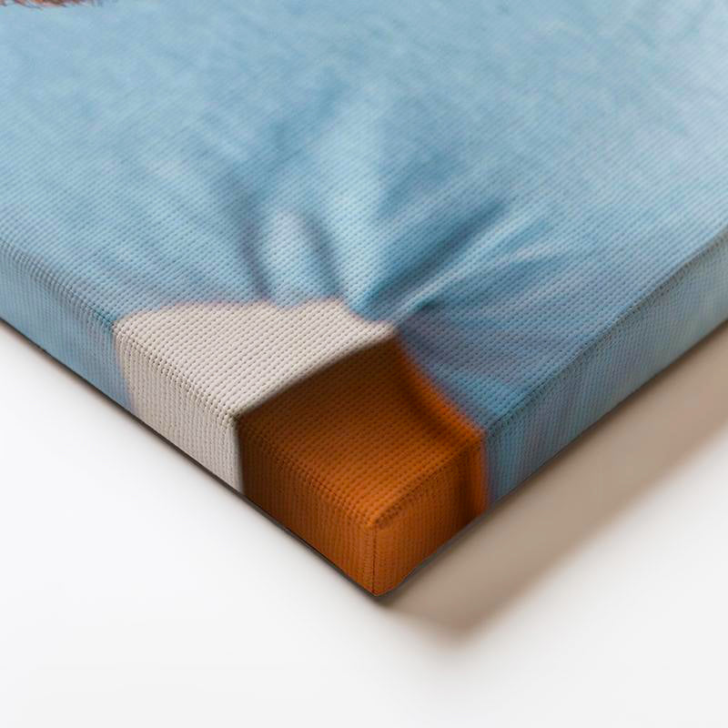 Yatay Kanvas Tablo Tepe Bölgesi Saçlanma Farkı Saç Ekim Uzmanı Tablosu Ev Ofis Duvar Dekoru