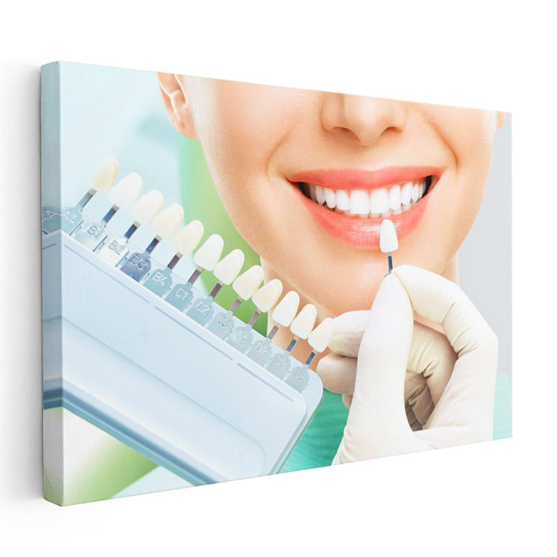 Yatay Kanvas Tablo Porselen Kaplama Renk Seçim Skalası Diş Hekimi Tablosu Ev Ofis Duvar Dekoru