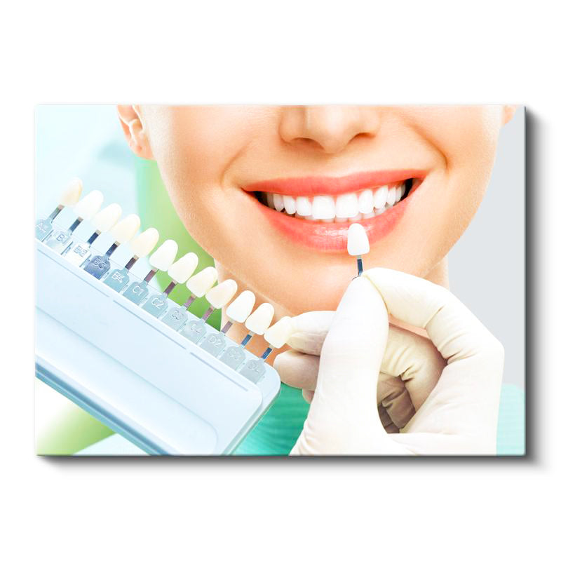 Yatay Kanvas Tablo Porselen Kaplama Renk Seçim Skalası Diş Hekimi Tablosu Ev Ofis Duvar Dekoru