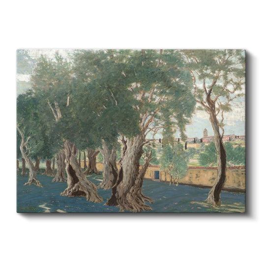 Henri Matisse - Zeytin Ağaçları Manzarası Kanvas Tablo