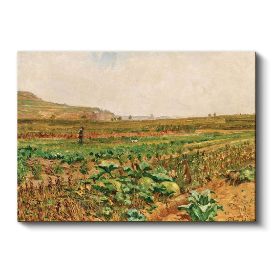 Claude Monet - Lahana Tarlası Kanvas Tablo