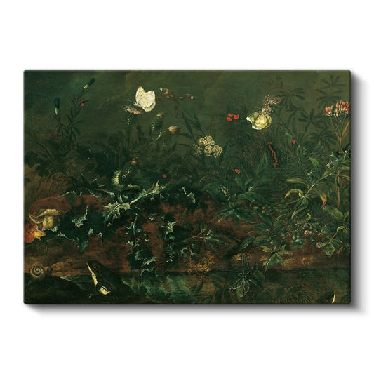 Otto Marseus van Schrieck - Orman Tabanı Kanvas Tablo