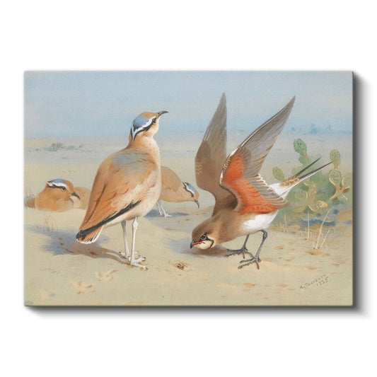 Archibald Thorburn - Çöl Kuşları Kanvas Tablo
