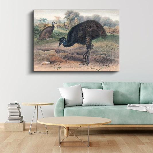 John Gould - Avustralya Emusu Kanvas Tablo