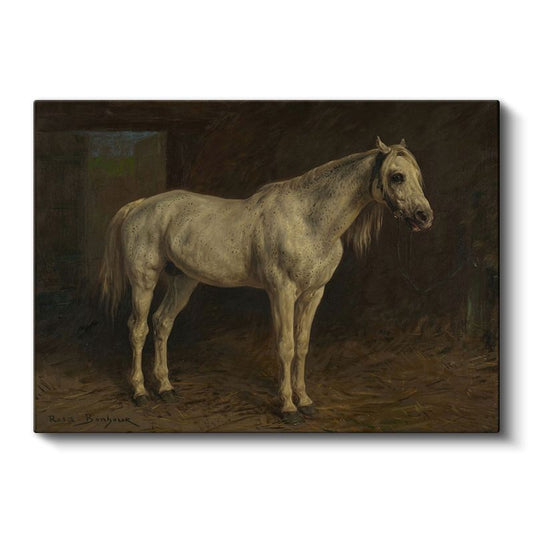 Rosa Bonheur - Beyaz At Kanvas Tablo