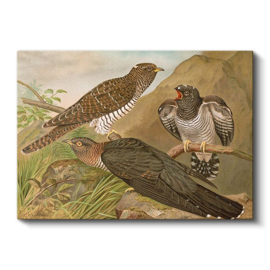 Otto Müller - Üç Kuş Kanvas Tablo