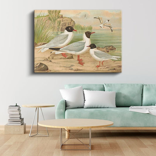 Anonim - Sahildeki Martılar Kanvas Tablo