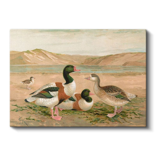 F.K. - Göl Kenarındaki Ördekler Kanvas Tablo