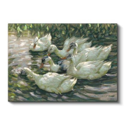 Alexander Koester - Göldeki Beyaz Ördekler Kanvas Tablo