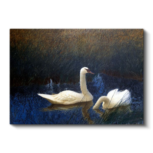 Bruno Liljefors - Swans Kanvas Tablo