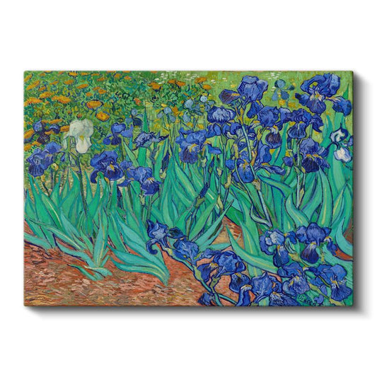 Vincent van Gogh - Süsenler Kanvas Tablo