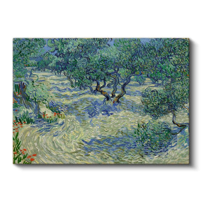 Vincent van Gogh - Zeytin Bahçesi Kanvas Tablo