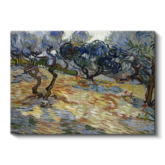 Vincent van Gogh - Zeytin Koruluğu Kanvas Tablo