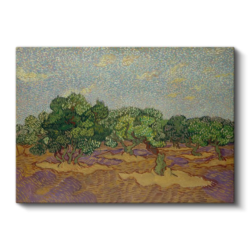 Vincent van Gogh - Zeytin Ağaçları Kanvas Tablo