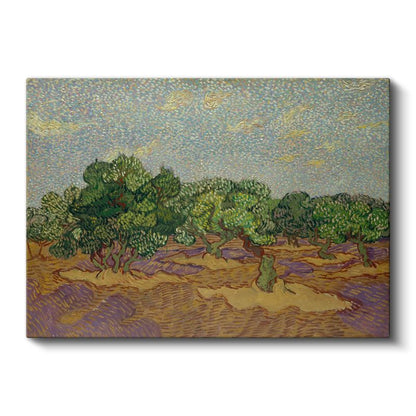 Vincent van Gogh - Zeytin Ağaçları Kanvas Tablo