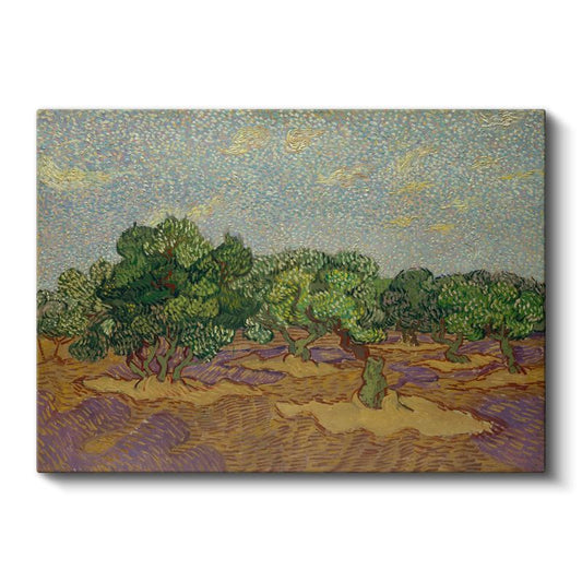 Vincent van Gogh - Zeytin Ağaçları Kanvas Tablo