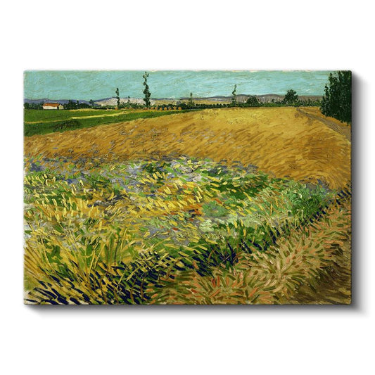 Vincent van Gogh - Buğday Tarlası Kanvas Tablo