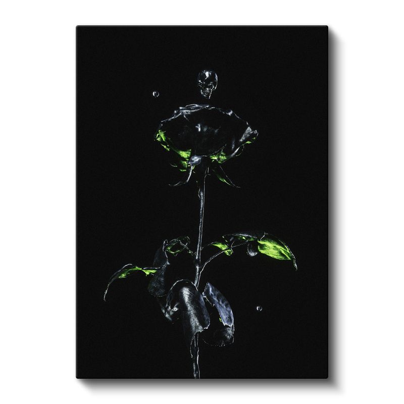 Karanlıkta Çiçek - Dramatik Kontrast Kanvas Tablo