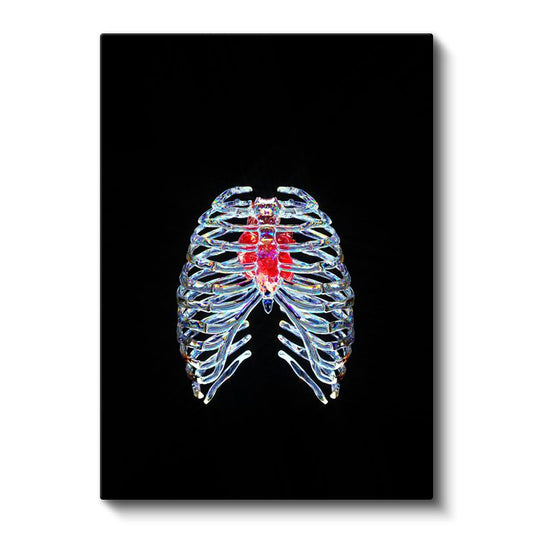Neon Anatomi - Işıldayan Göğüs Kafesi Kanvas Tablo