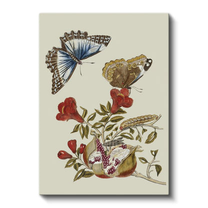 Botanik Harmoni - Zarif Kelebekler ve Çiçekler Kanvas Tablo