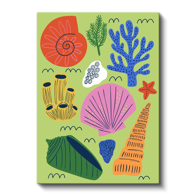 Deniz Hazineleri - Renkli Kabuklar Koleksiyonu Kanvas Tablo