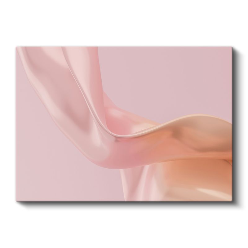 Pembe Harmoni - Yumuşak Kıvrımlar Soyut Kanvas Tablo