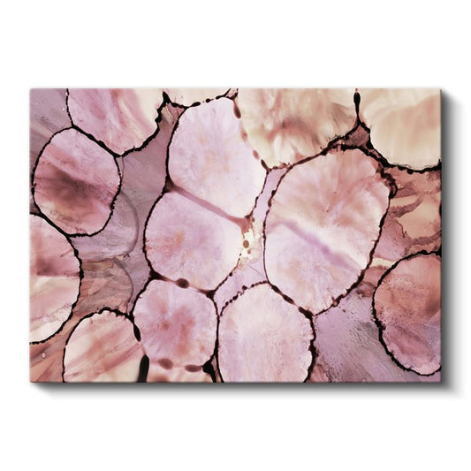 Organik Hücreler - Pembe Tonları Bölmeli Soyut Kanvas Tablo