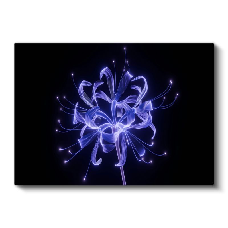 Işık Çiçeği - Mavi Neon Işıklı Soyut Kanvas Tablo