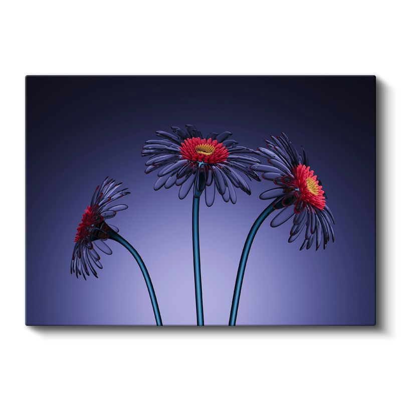 Mor Papatyalar - Stilize Çiçek Üçlemesi Kanvas Tablo