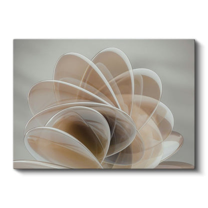 Zarif Spiral - Katmanlı Yarı Saydam Geometri Kanvas Tablo