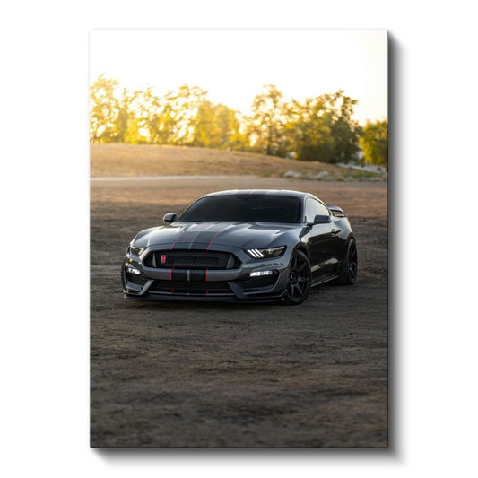 Ford Mustang Shelby GT350 - Yarış Çizgili Spor Otomobil Kanvas Tablo