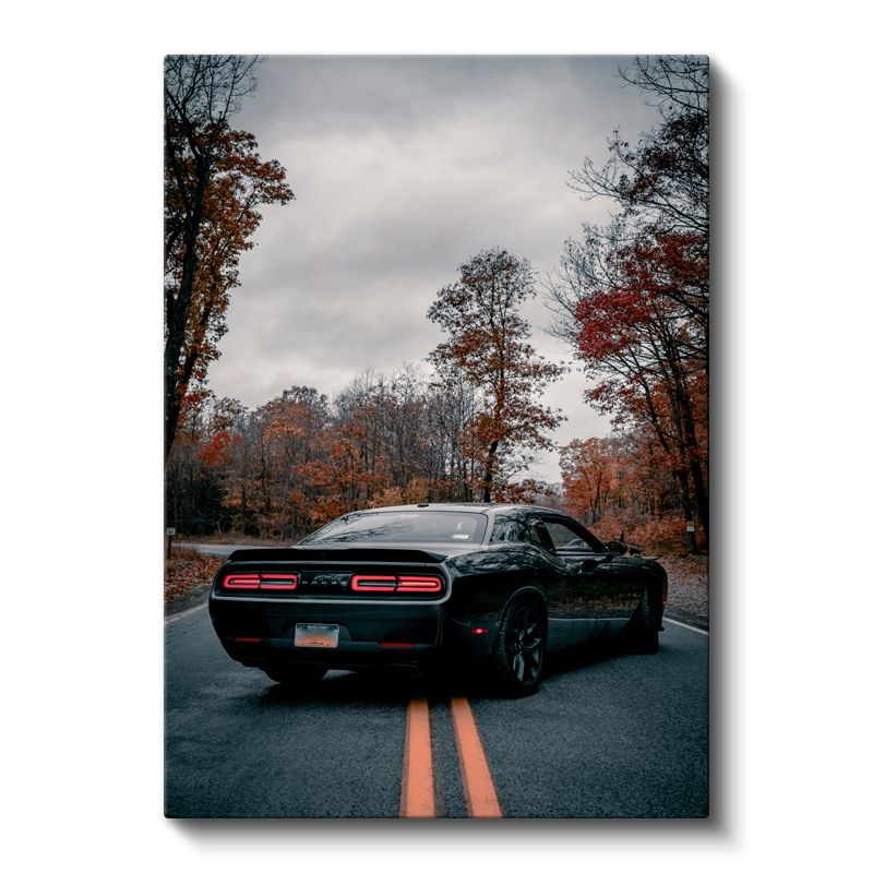 Dodge Challenger - Sonbahar Yolunda Siyah Amerikan Kas Arabası Kanvas Tablo