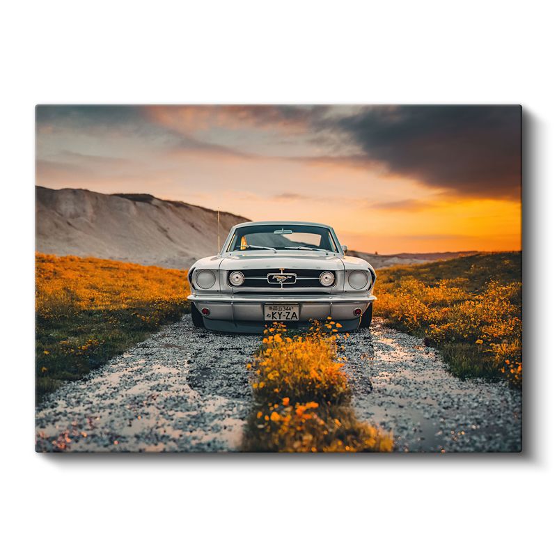 Ford Mustang Klasik - Beyaz Amerikan Muscle Car Kanvas Tablo