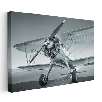 Klasik Pervaneli Uçak - Nostaljik Havacılık Tasarımı Kanvas Tablo