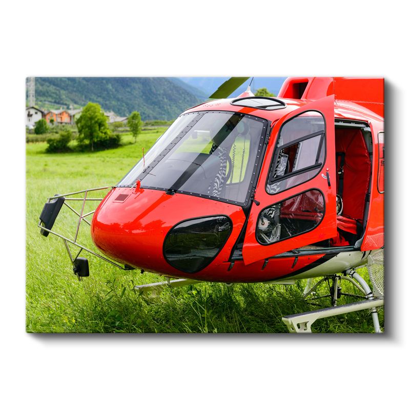 Kırmızı Helikopter - Doğada Havacılık Teknolojisi Kanvas Tablo