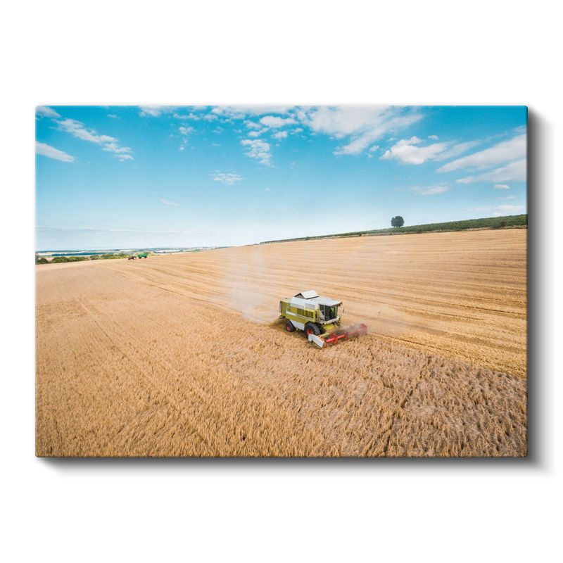 Claas Biçerdöver - Hasat Zamanı Tarım Makinesi Kanvas Tablo