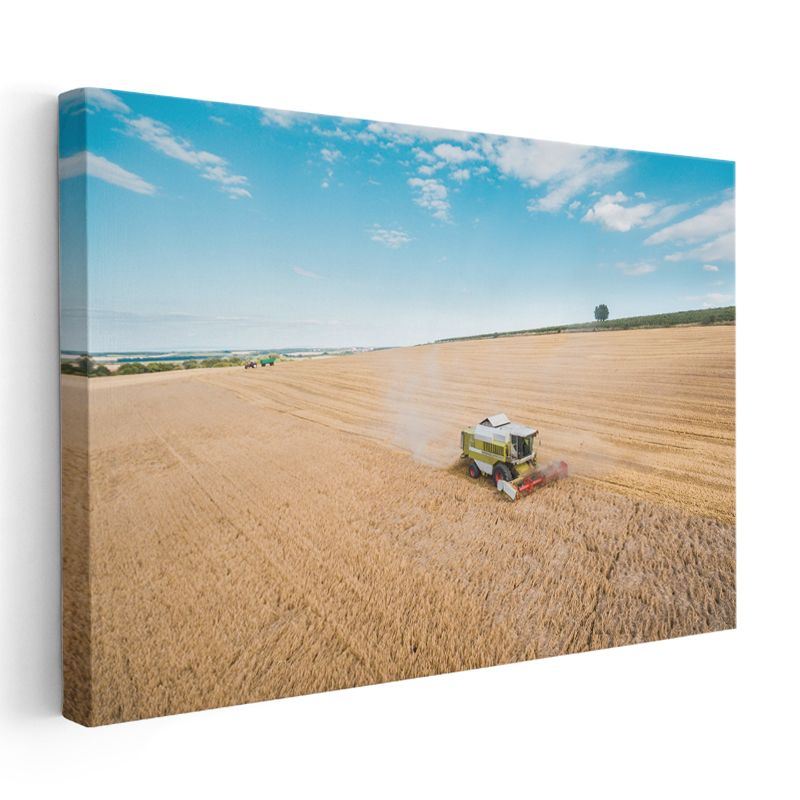Claas Biçerdöver - Hasat Zamanı Tarım Makinesi Kanvas Tablo
