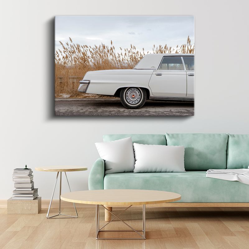 Cadillac DeVille - Beyaz Amerikan Klasiği Kanvas Tablo