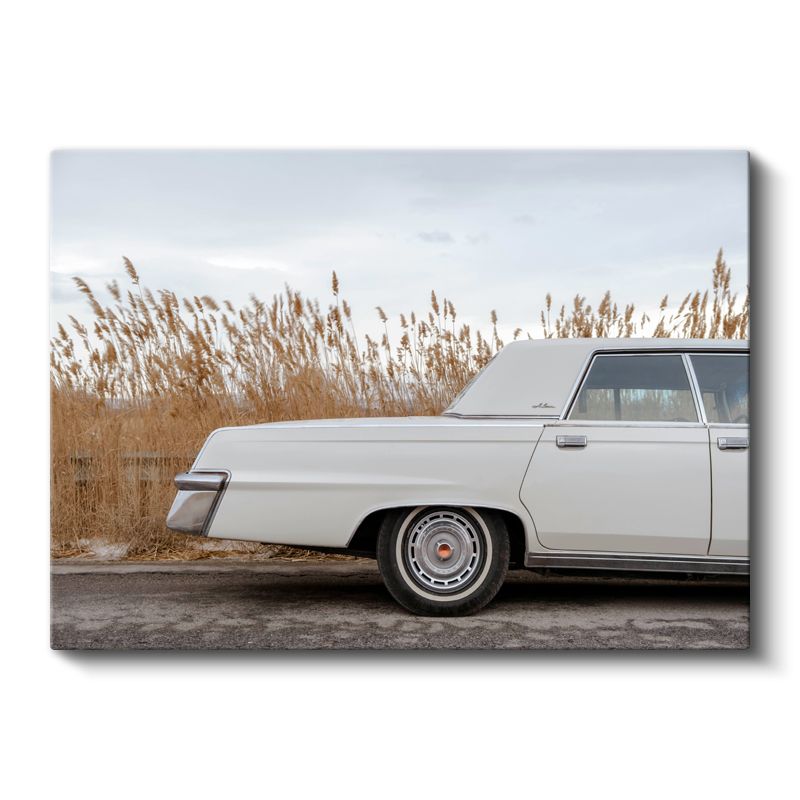 Cadillac DeVille - Beyaz Amerikan Klasiği Kanvas Tablo